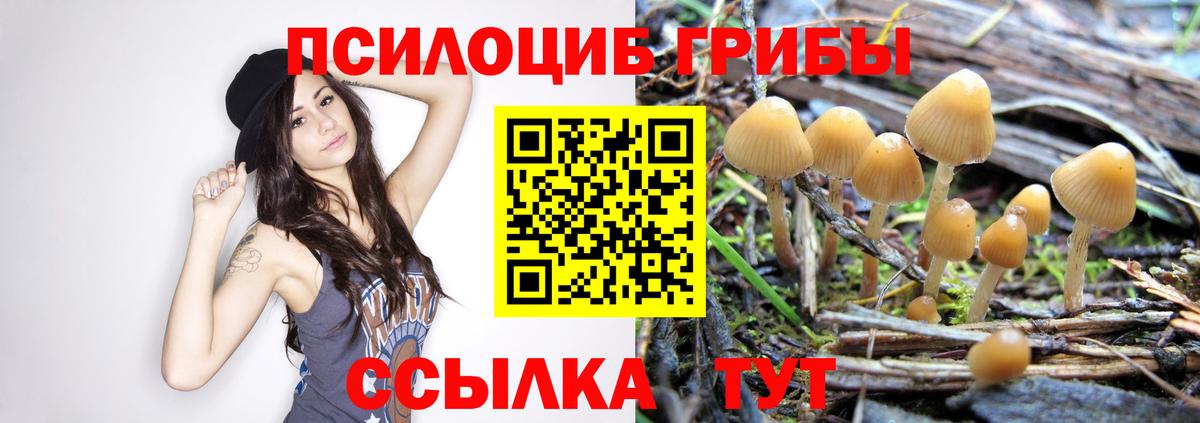 Галлюциногенные грибы Psilocybine cubensis  Вход с VPN  Кубинка 